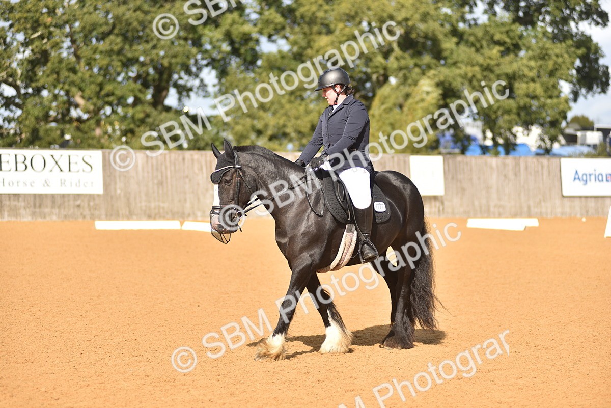 SBM_03022 - D4 - Small Tour Championship Intro 4