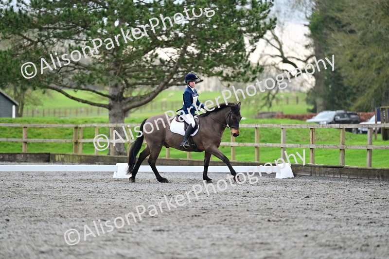 20260125-3584 - Class 12 - Novice