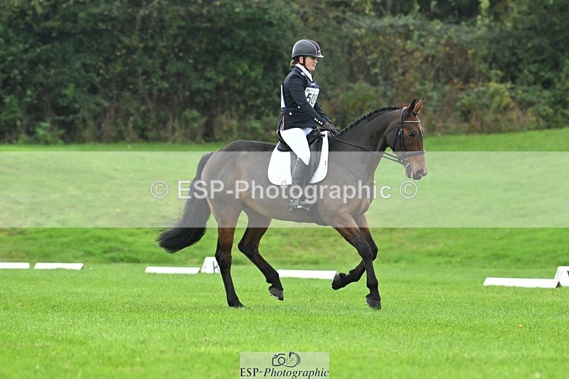 241024-114522-03306 - 509-Tichy.Sanders-SPARHANGER.VELVET