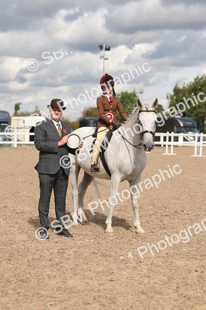 SBM_13198 - Class 306 - Ridden Foreign Breds - Part Bred