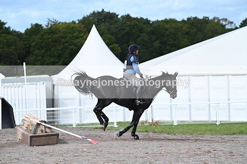 WJ7_9961 - Time 11:02 to 11:34