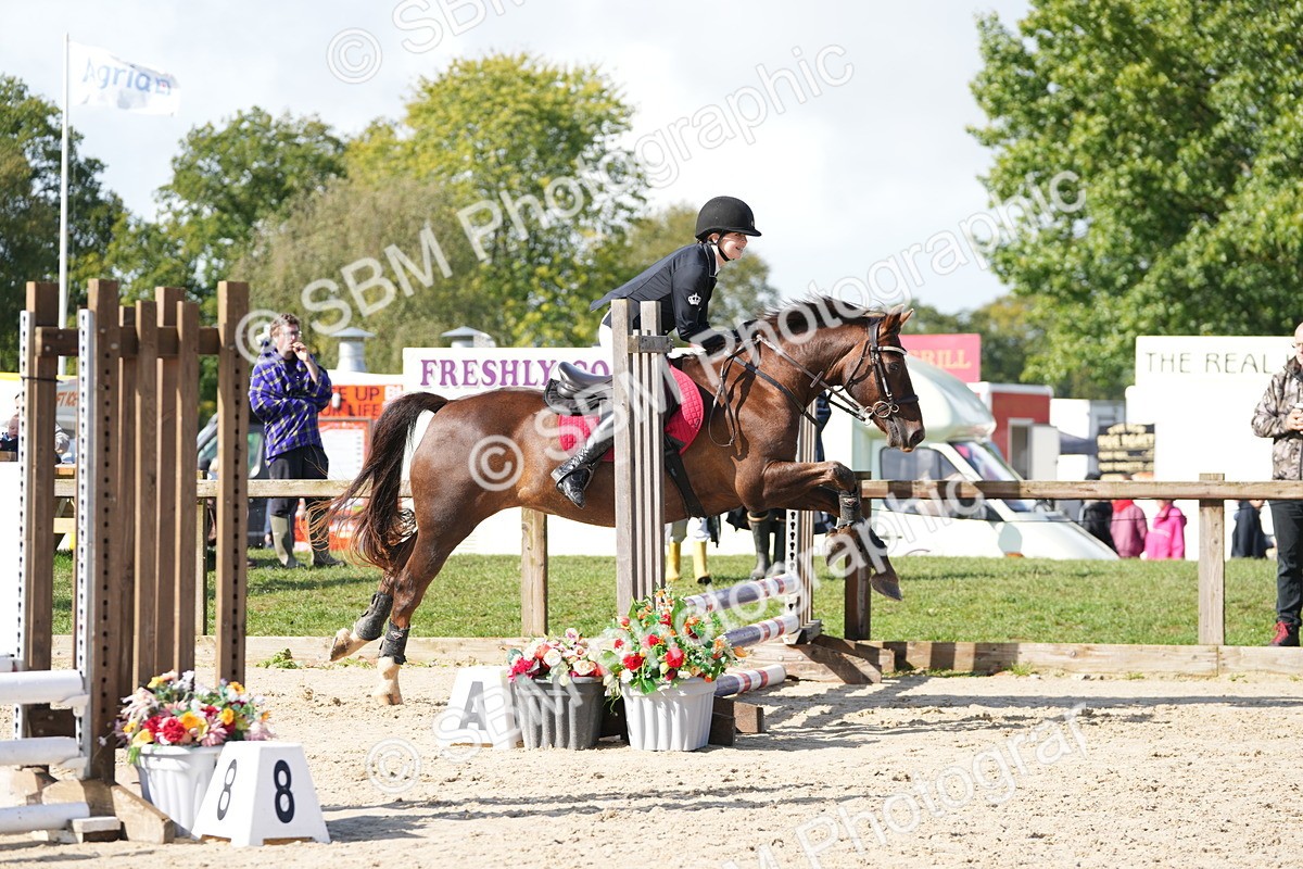 SBM_38443 - J6 - Junior Pony 55cm Championship