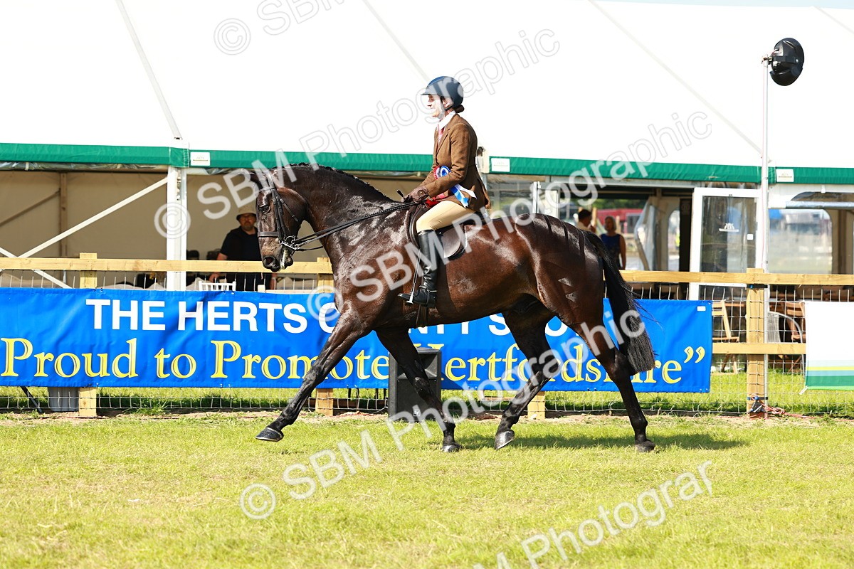 SBM_11999 - Class 66-69 - RIHS Ridden Hunters Inc Small Hunter