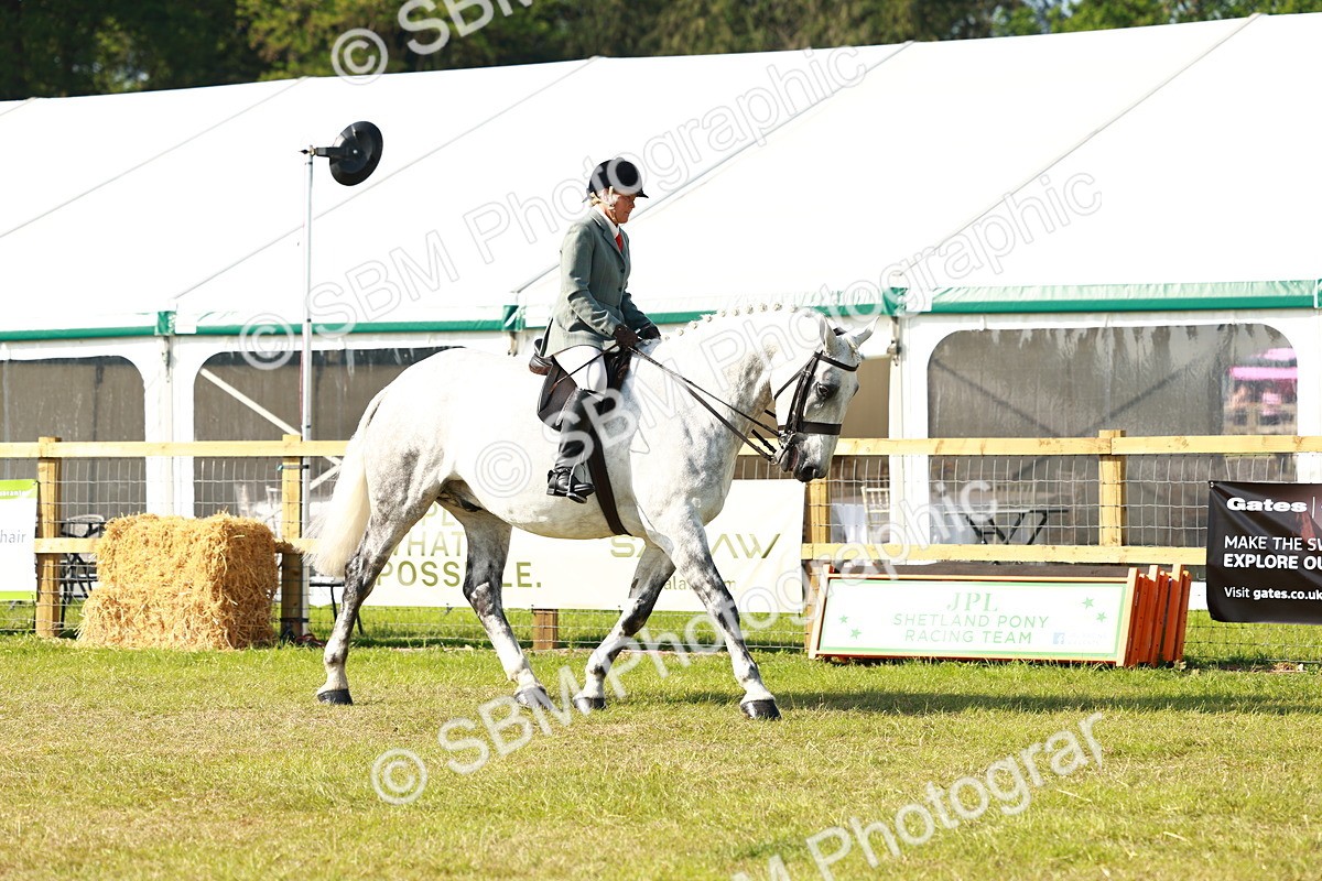 SBM_11748 - Class 66-69 - RIHS Ridden Hunters Inc Small Hunter