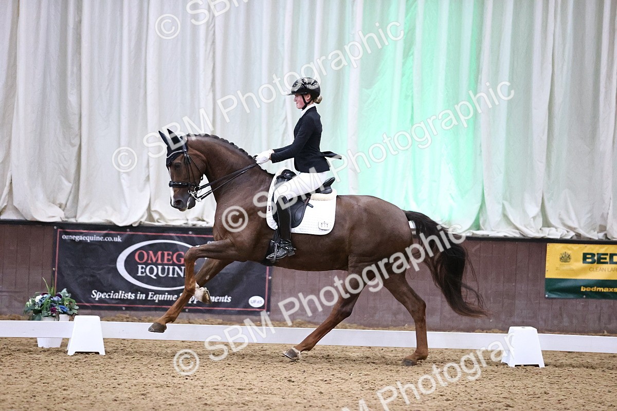 SBM_008997 - Class 15 - FEI Junior Pony Team-YR-COH