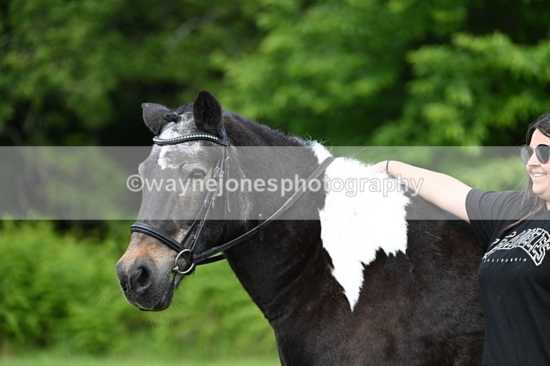 WJ7_1650 - Class 11 Condition & Turnout