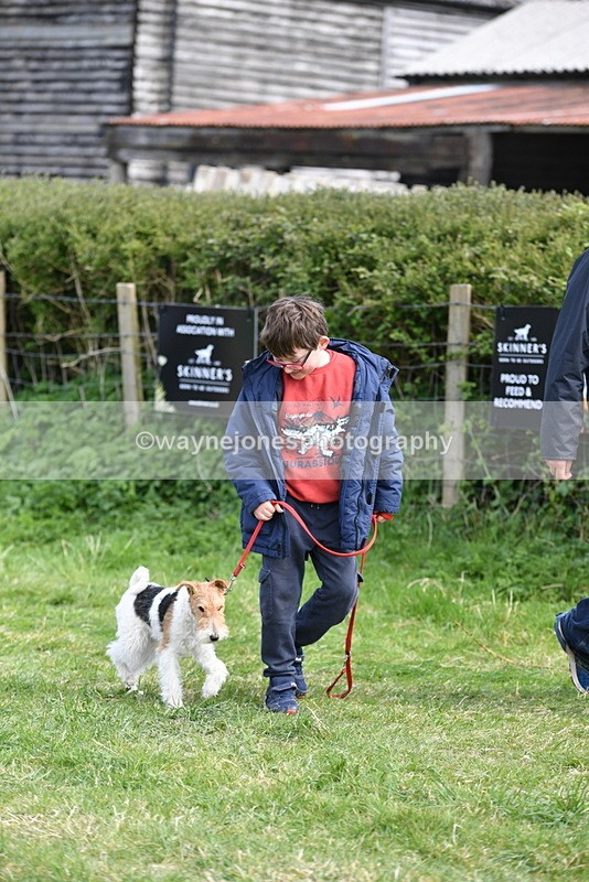WJ5_0754 - Best in Show Championship