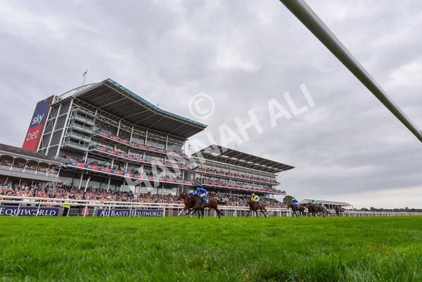 230825-Race 6-Revival Power-9960 - Race 6 4.45pm Julia Graves Roses Stakes