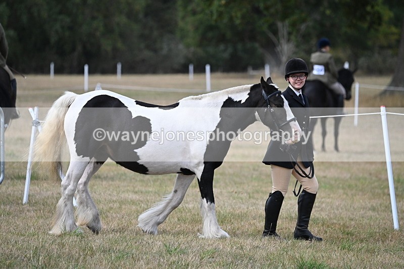 WJ6_6409 - Class 20 In-hand Cob