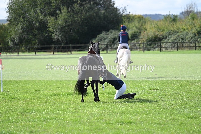 WJ7_8548 - 60cm Pairs