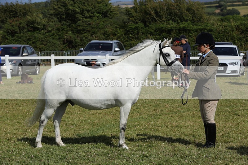 1X9A5798 - Class 40: NPS Welsh A & B
