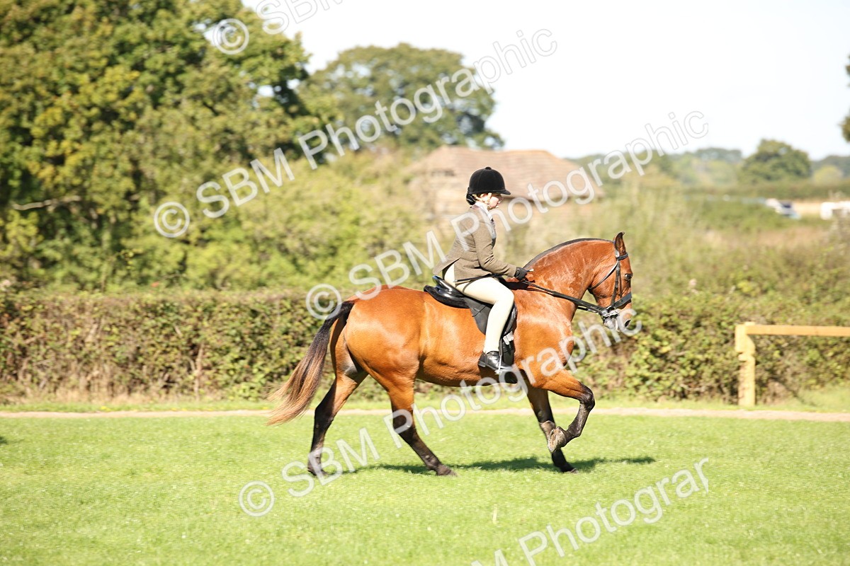SBM_38977 - S11 - Best Ridden Horse & Pony