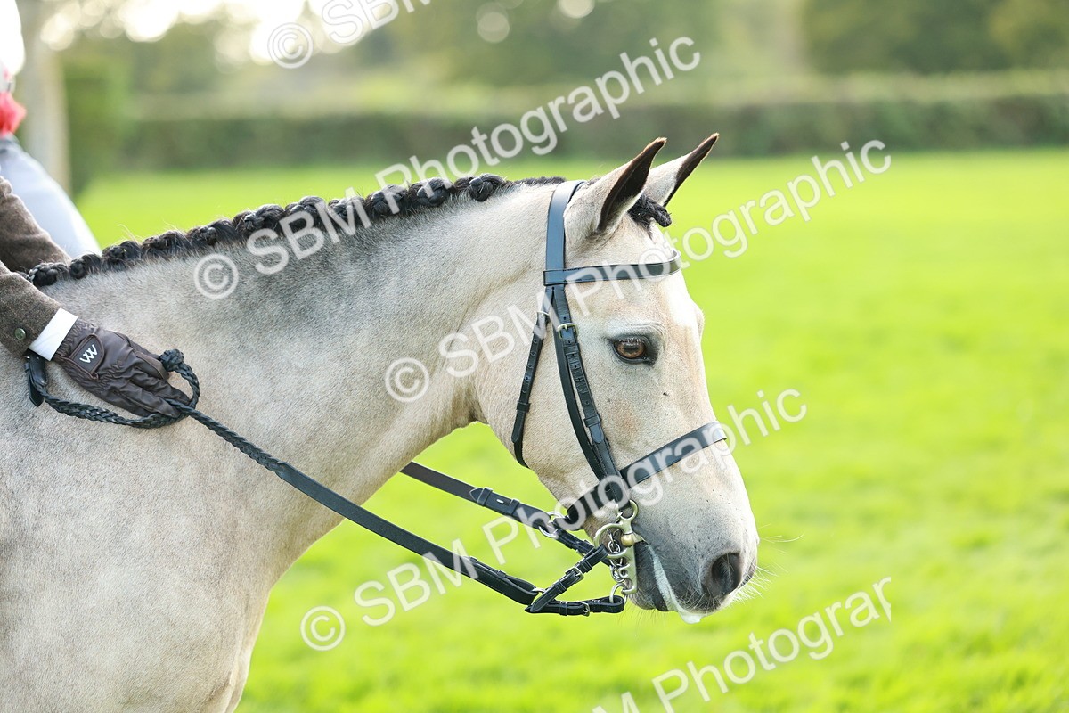 SBM_28830 - S7 - Novice & Newcomer Ridden Pony