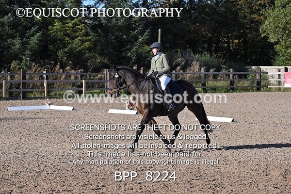 BPP_8224 - LONG ARENA
