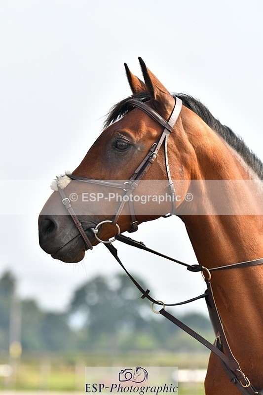 230817-100647-02627 - Abbie's 2nd Group - Arena