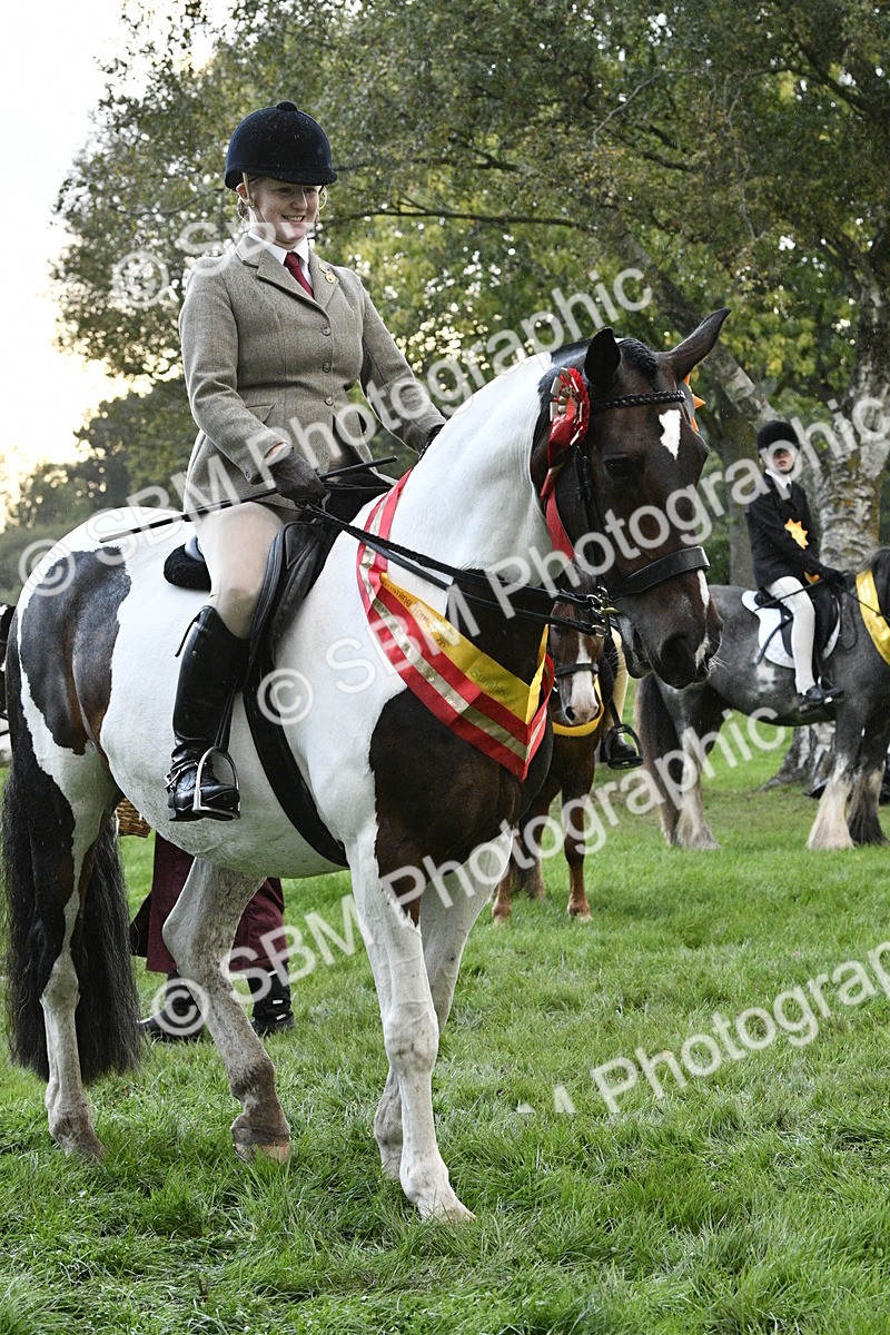 SBM_53334 - S14 - Riding Club Horse