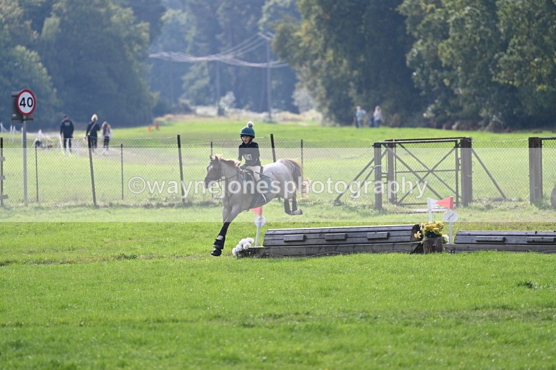 WJ7_4975 - 60cm Time 11:11 to 11:19