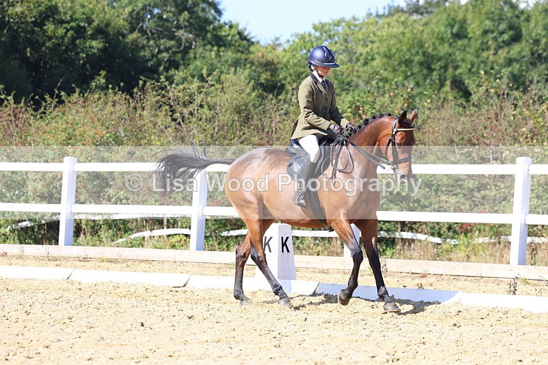 3E7A5695 - Class 10: Riding Horse