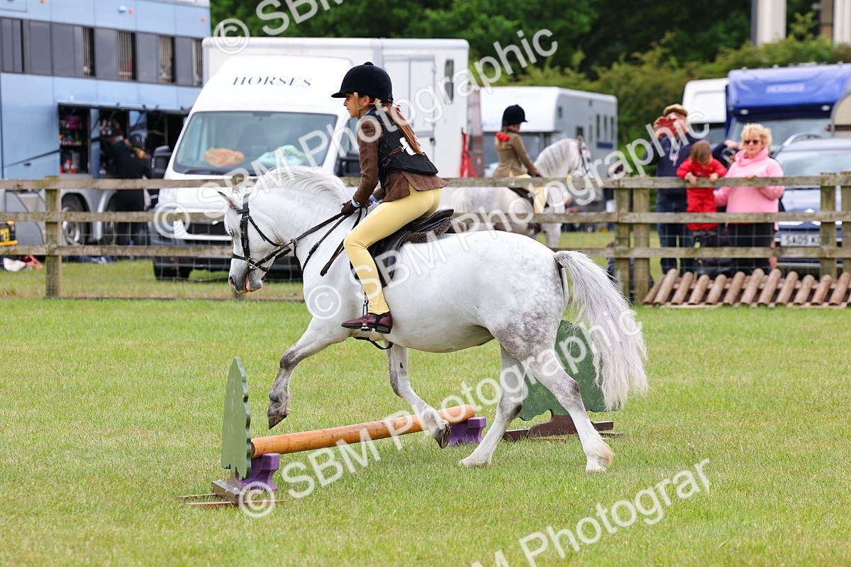 SBM_08701 - Class 42-43 - LIHS BSPS Heritage Working Sports Pony