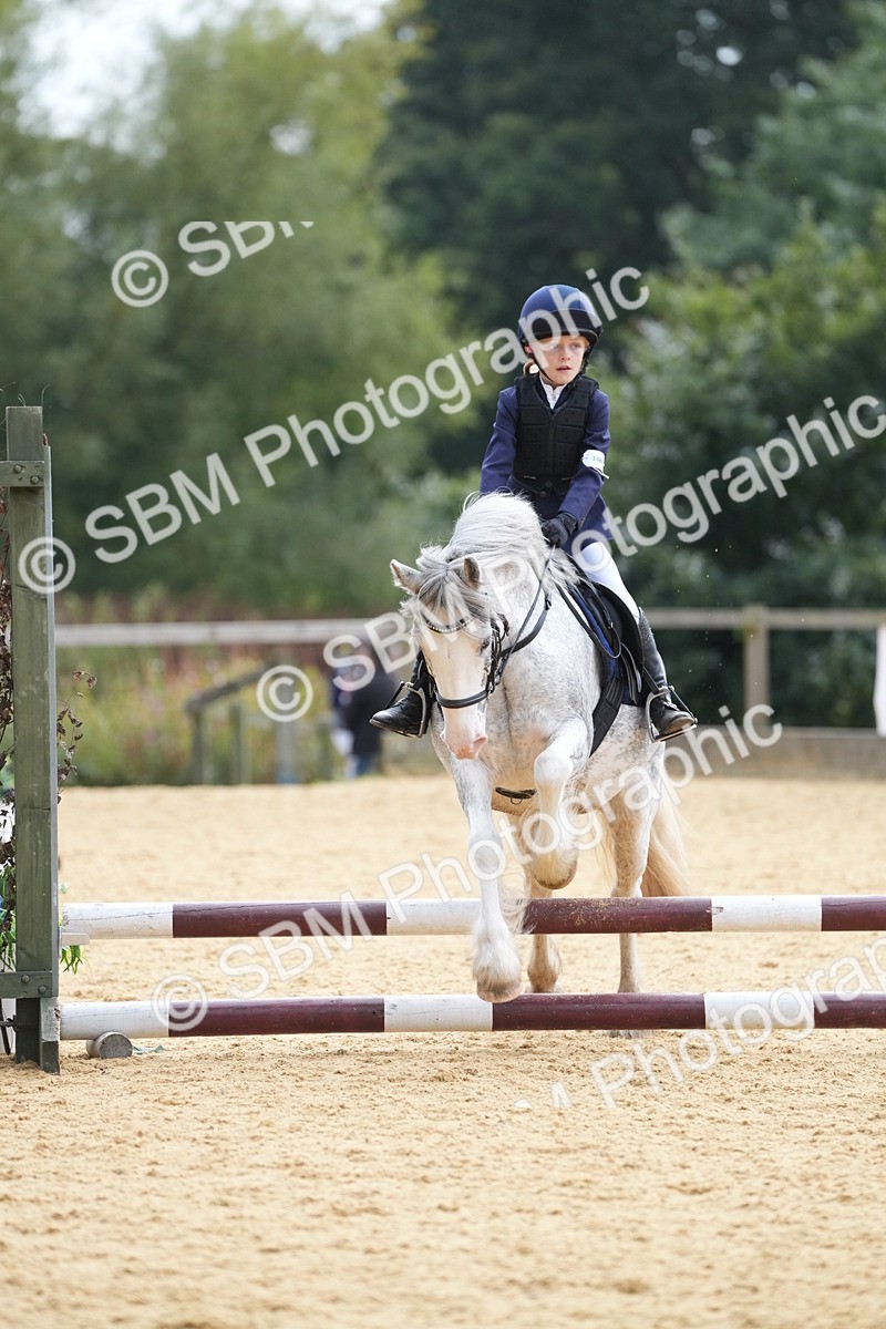 SBM_74721 - J4 - Mini Tour Junior Pony 45cm Championship