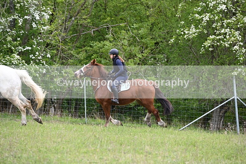 WJ6_1572 - Group 4 A&B Cameras