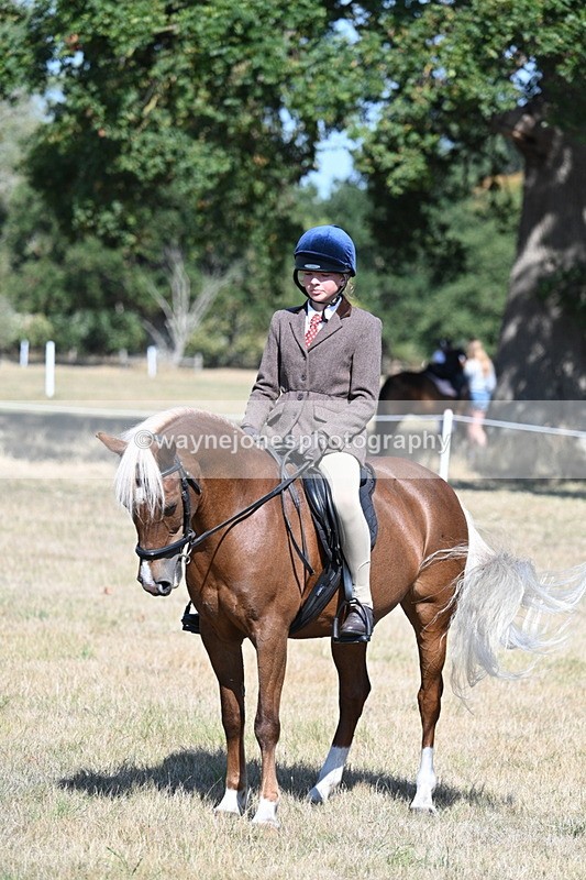 WJ7_4108 - Class 9 Mountain & Moorland Ridden
