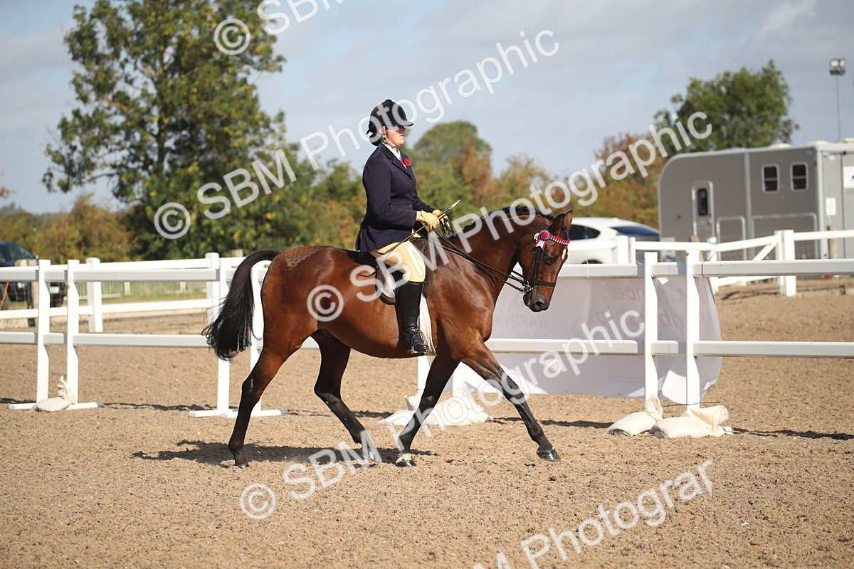 SBM_22757 - Class 602 - 2026 Area - Ridden Veteran