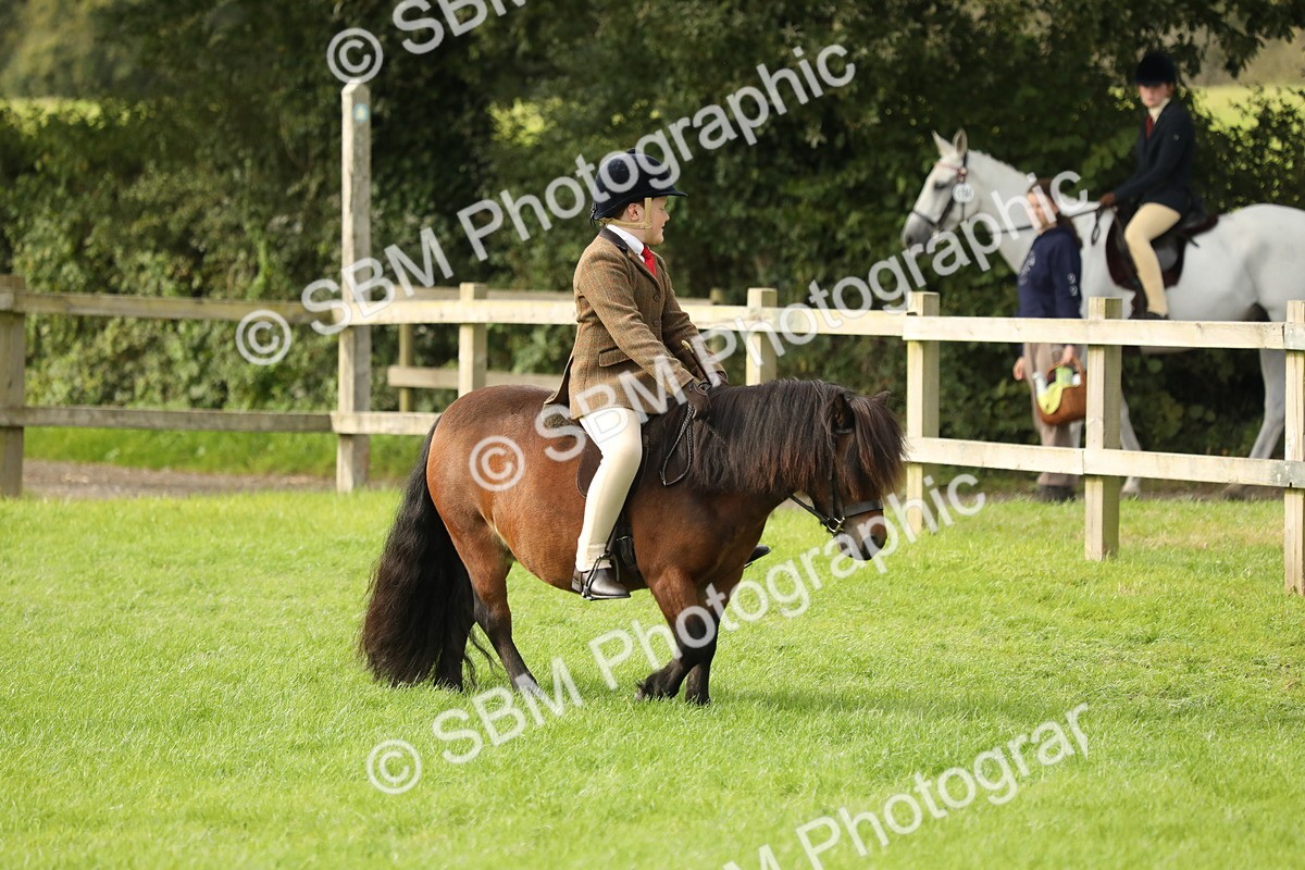 SBM_71466 - S41 - Ridden Equitation (Best Rider)