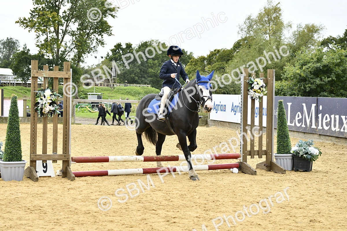 SBM_65439 - J2a mini Tour Junior Pony 30cm Championship