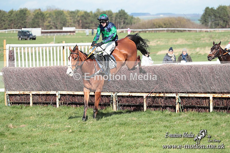 PtP 230324 546 - Tedworth Hunt PtP Larkhill Raccourse 23rd March 2024