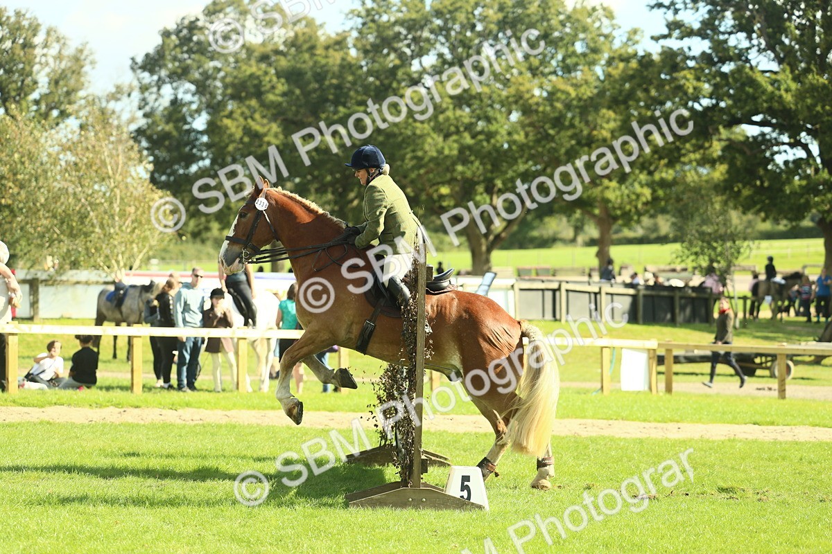 SBM_48107 - S32 - Novice & Newcomers Working Hunter