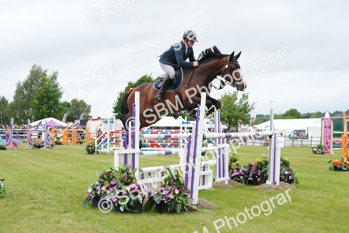 SBM_03327 - Class 201 - British Horse Feeds Speedi Beet Horse of the Year Show Grade  C