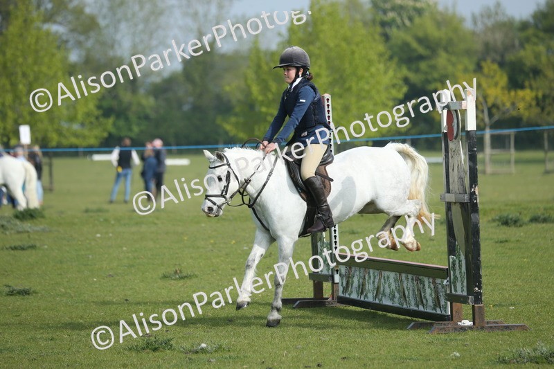 20260426-0102 - Class 13 - Rookie Jumping 50cm