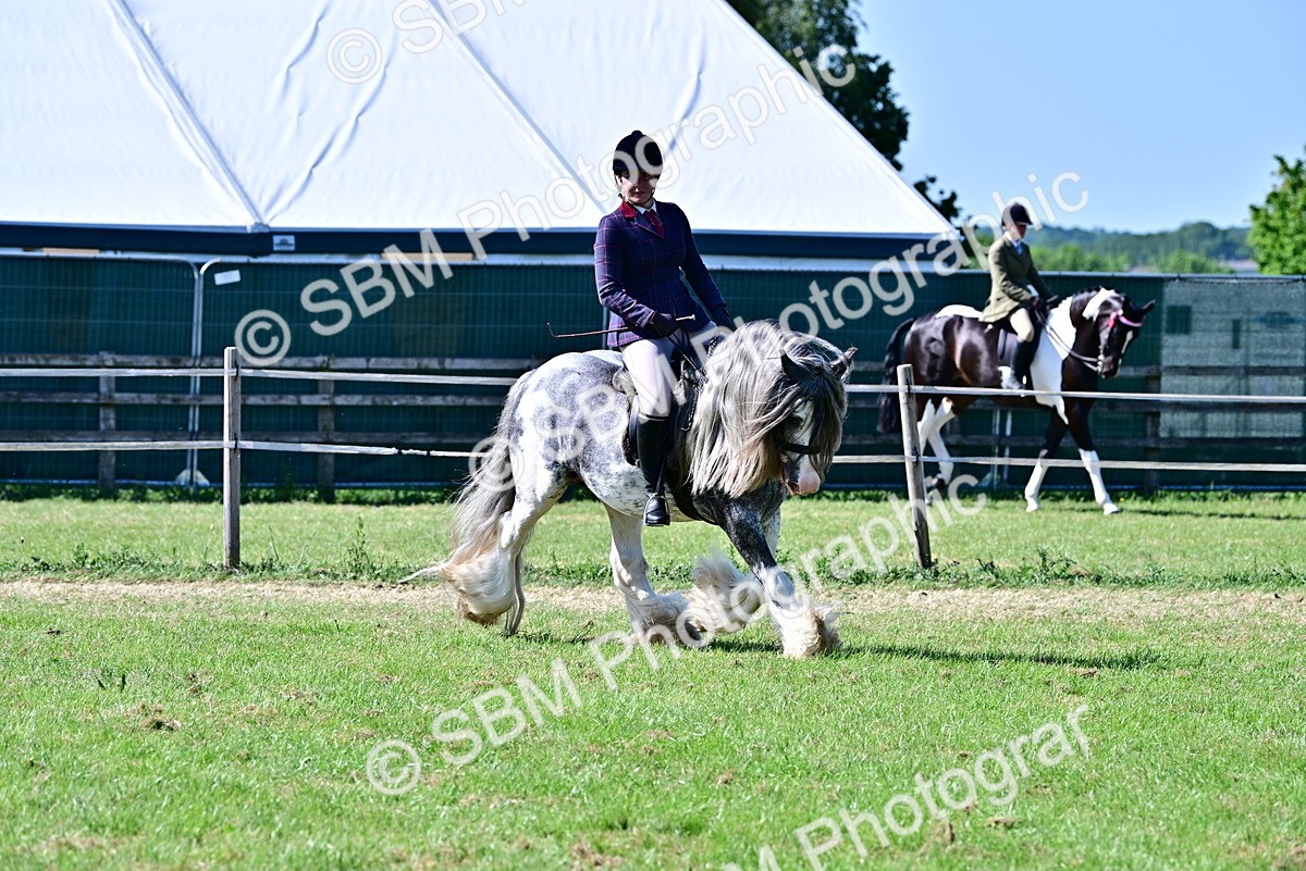 SBM_19422 - Class 101-102 - BSPS LIHS Performance Coloured Horse/Pony