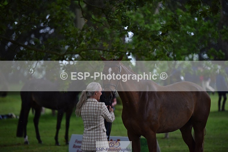 240522-151512-00204 - 309-GOLIATH_DU_LOIR-Yasmin_Ingham