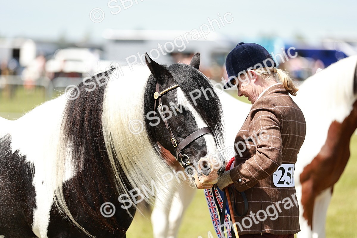 SBM_05513 - Class 41-45 - Riding Pony-Hunter Pony Breeding