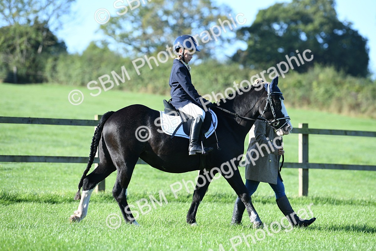 SBM_35284 - S17 - Condition & Turnout - Lead Rein