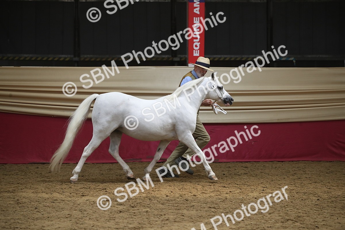 SBM_05534 - Class 9R - Regional IH Pre-Vet