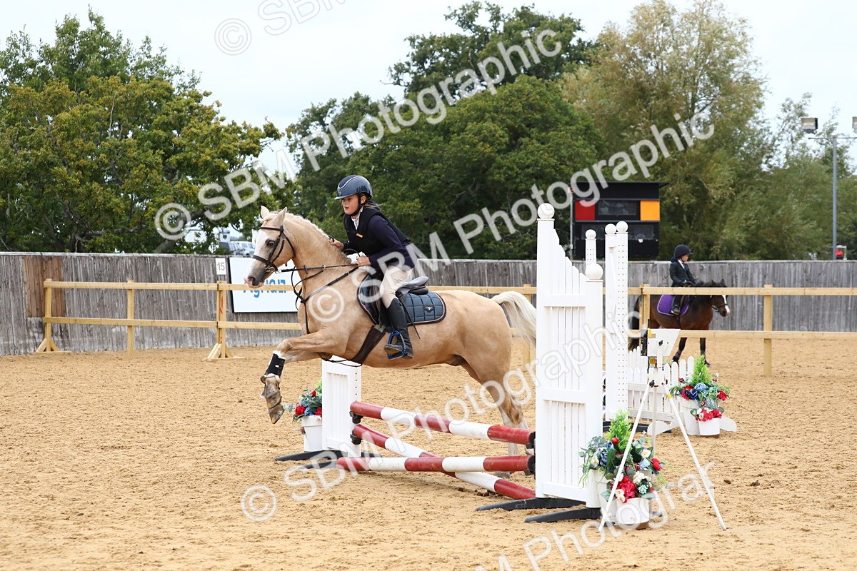 SBM_65092 - Supreme Championship 50cm 60cm 70cm