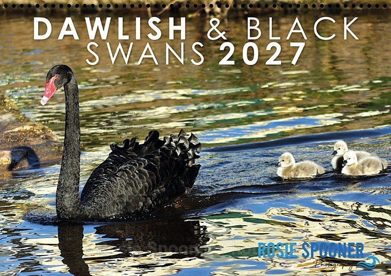  - 2027 CALENDARS - ONLY A LIMITED NUMBER AVAILABLE AT PRESENT