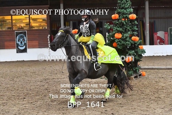 BPP_1641 - CLASS 2 TEAM SJ 40CM