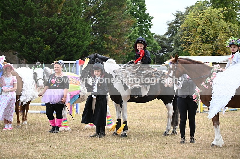 WJ6_9236 - Class 11 Fancy Dress