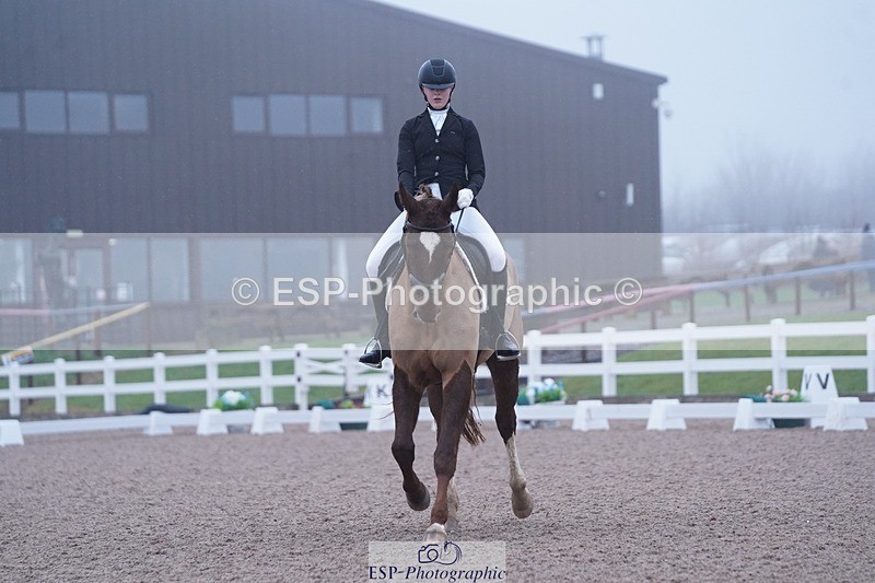 250215-094342-02687 - 142-Daisy.Hedges-Felicia.v