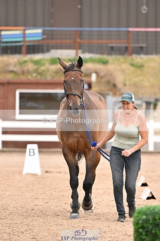 250716-155515-02283 - Trot Up 3.30 to 4.30