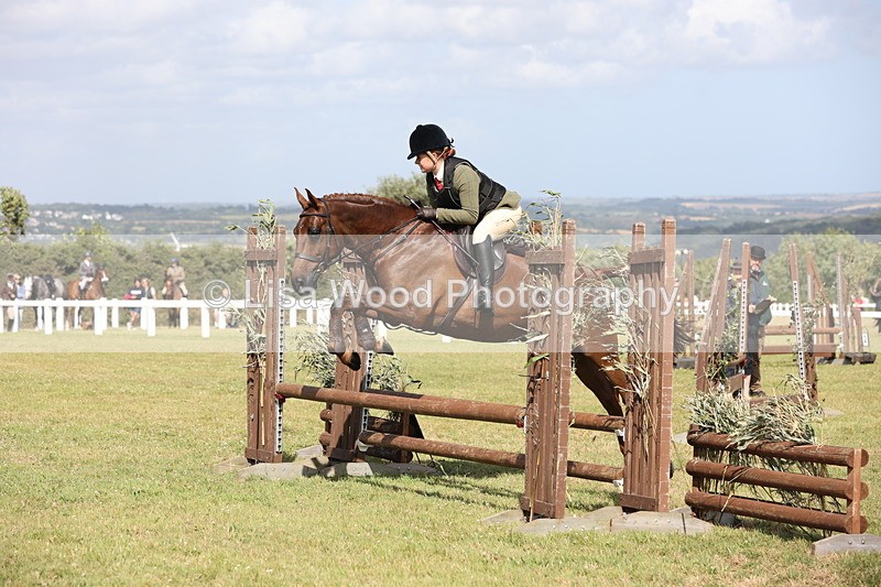 JPP_2545 - Class 20: Working Hunter 70cm