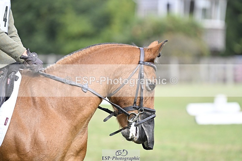 250821A-102922-14375 - DR 10.00 to 11.00