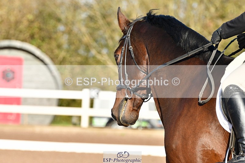 231105A-104600-00139 - UnAf Prelim 18