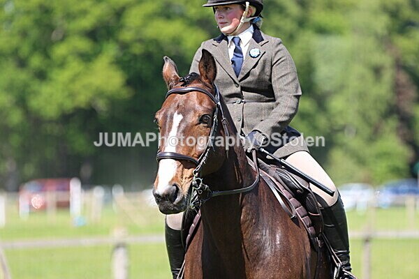 IMG_4442 - Working Hunter
