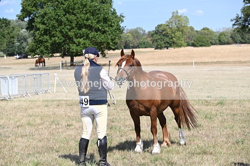 WJ6_5036 - Class 17 Mountain & Moorland