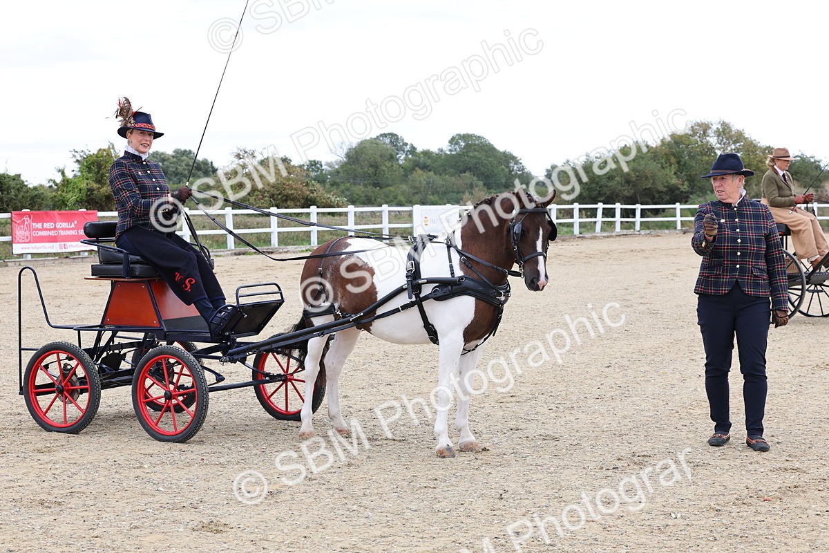 SBM_000300 - Class 2 - Exercise Vehicle 13.2hh & Under